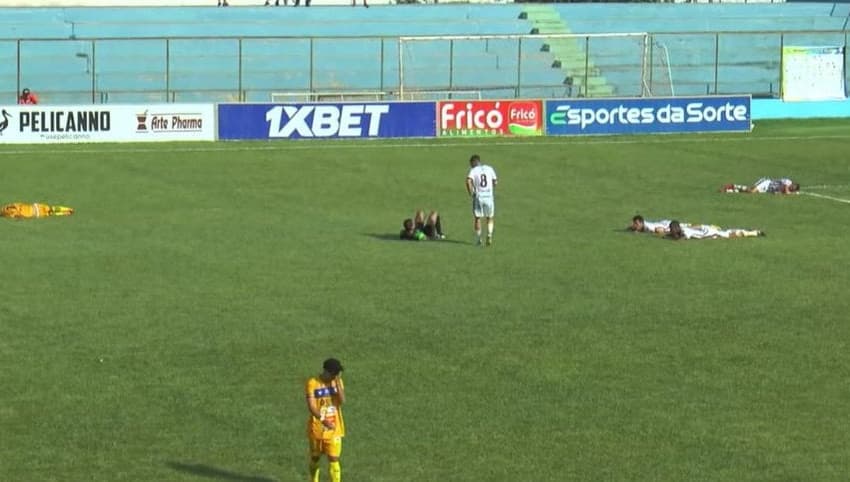 Jogo é interrompido por ataque de abelhas no Campeonato Goiano Lance