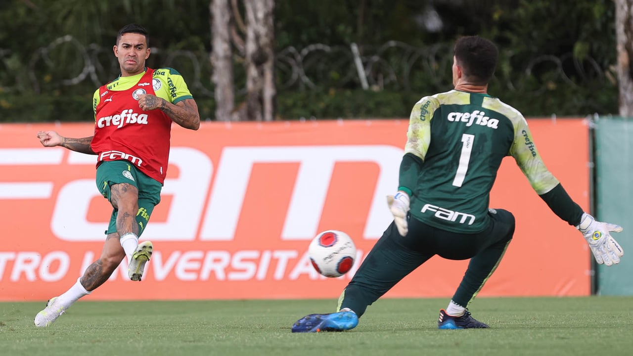 Palmeiras Encerra Prepara O Para Enfrentar O Santos No Paulist O Lance