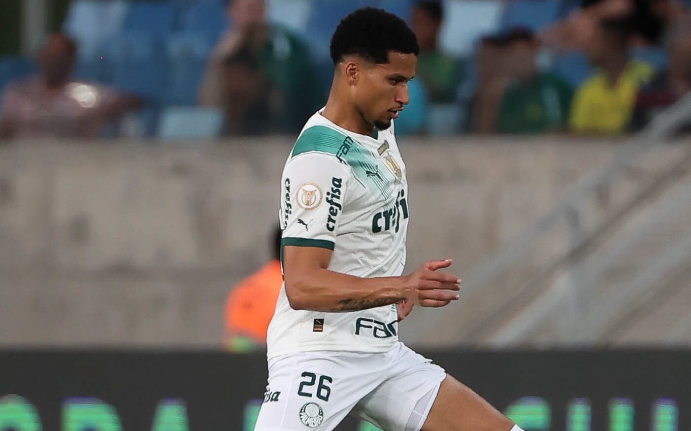 A Baliza Zero H Oito Jogos Palmeiras Ter Retorno De Murilo