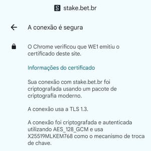 Captura de tela do certificado de criptografia indicando que o site da Stake é seguro.
