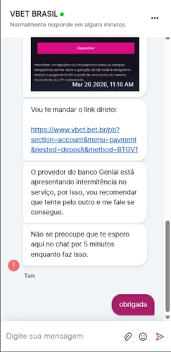 Conversa no chat ao vivo da Vbet com suporte enviando link de depósito e instruções