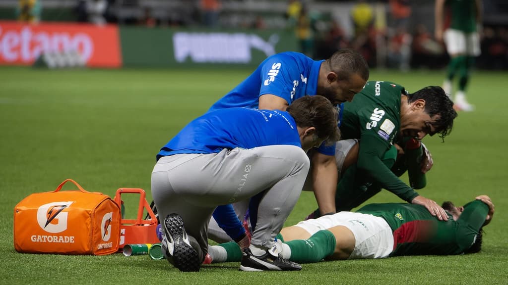 Imagem da partida LDU x Palmeiras