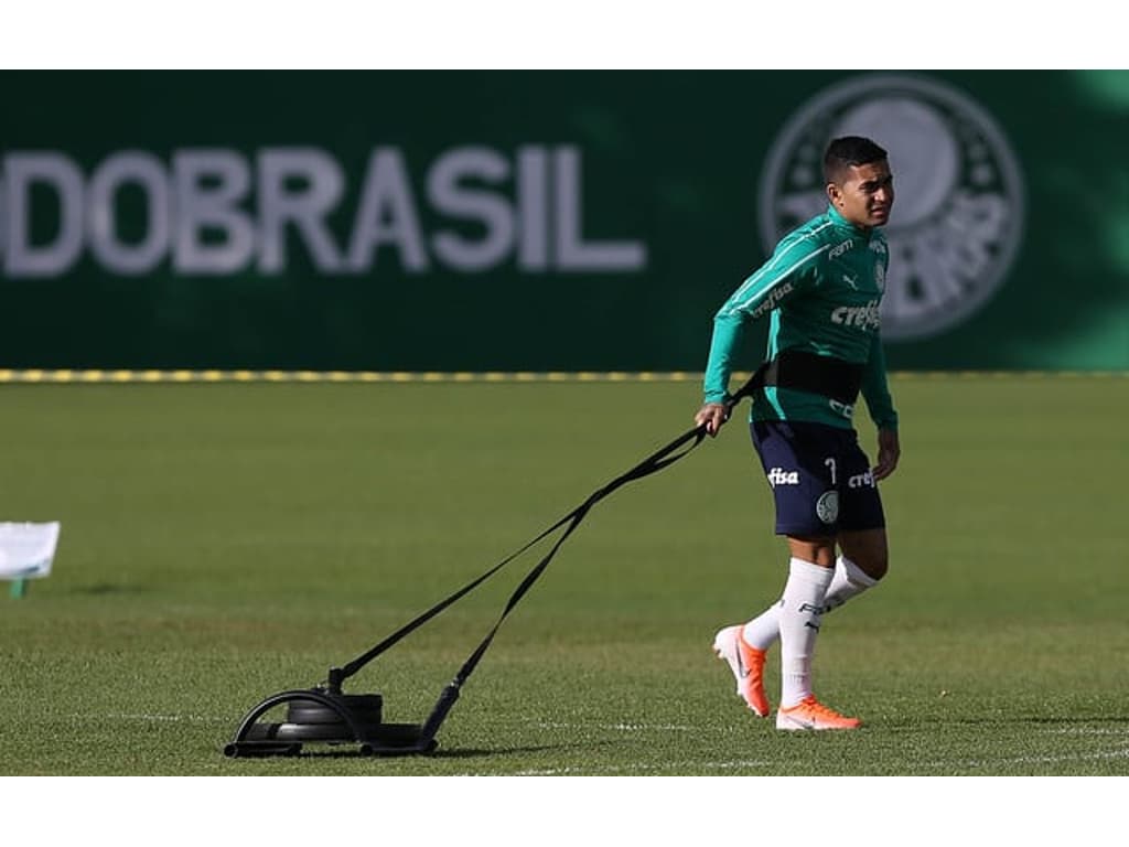 Palmeiras pode contar com retorno de Dudu ao Brasileirão para manter vivo  sonho de título - Esportes - R7 Lance