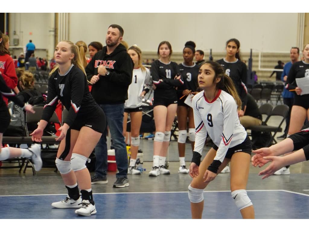 Liga Universitária Paulista on X: Torneio de Voleibol Feminino