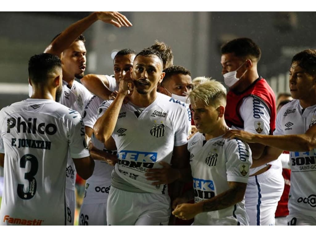 Santos detalha venda de ingressos para primeiro jogo das quartas - Diário  do Peixe