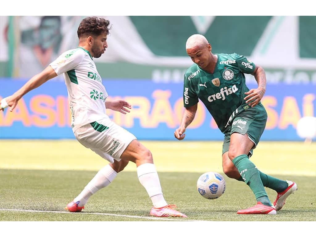 Doentes por Futebol - Quando você acha que será dessa vez que o Palmeiras  vai entregar, ele ressurge. A liderança do Brasileirão permanece! 🐷☝️ 📷  Cesar Greco, SE Palmeiras