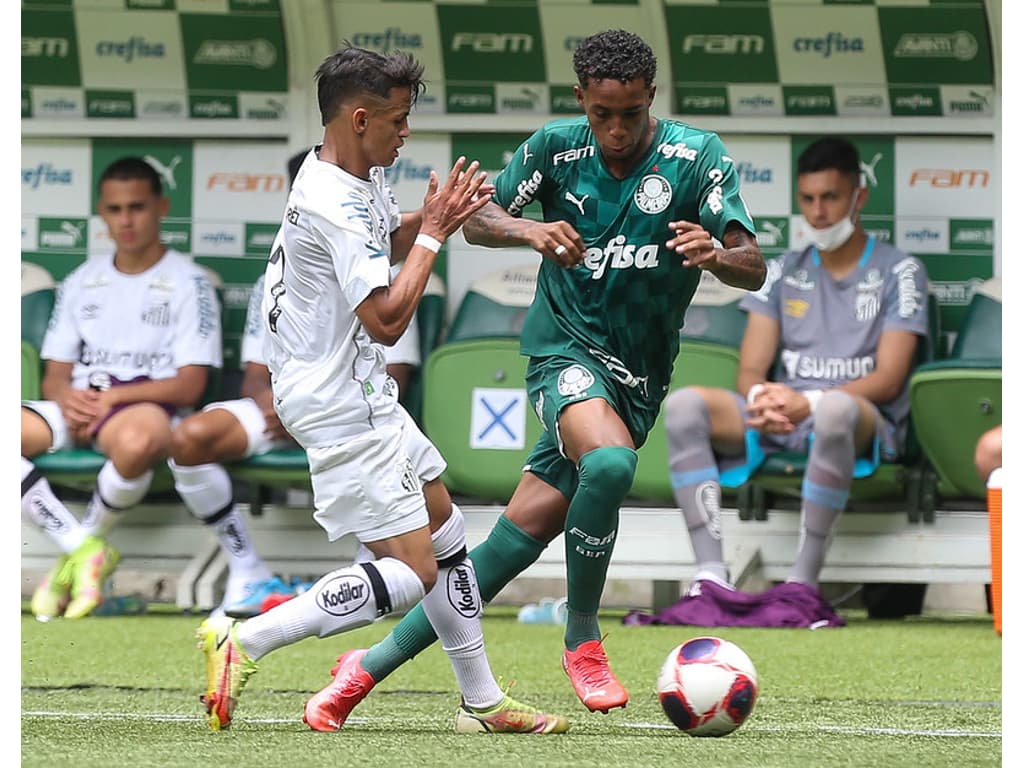 PALMEIRAS X SANTOS TRANSMISSÃO AO VIVO DIRETO DE BARUERI - CAMPEONATO  BRASILEIRO 2023 