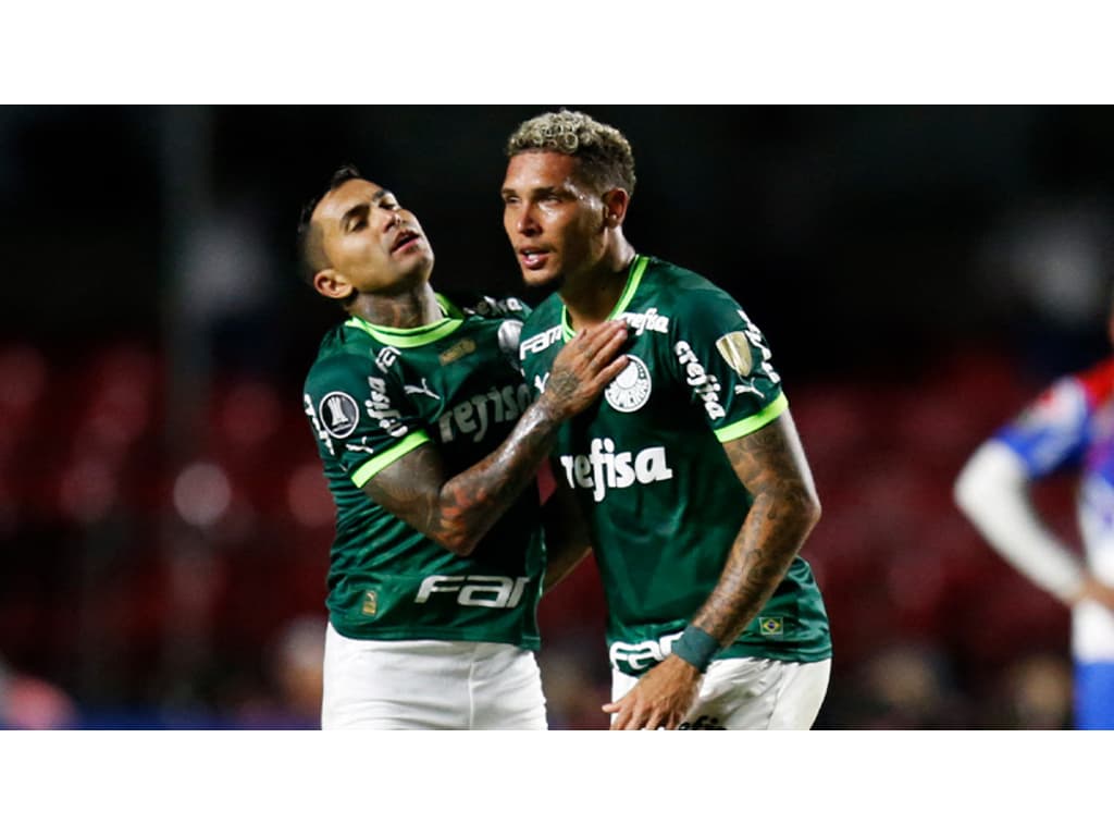 Final de jogo Palmeiras 2 x 1 Cerro Porteño ⚽️⚽️🔥🔥🐷🟢⚪️ @palmeiras  @libertadores #avantipalestra Parceria : @cornetaevibra