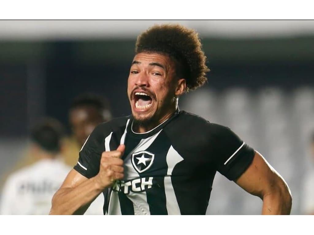 Botafogo cede empate nos acréscimos para o Santos e tropeça em casa -  Placar - O futebol sem barreiras para você