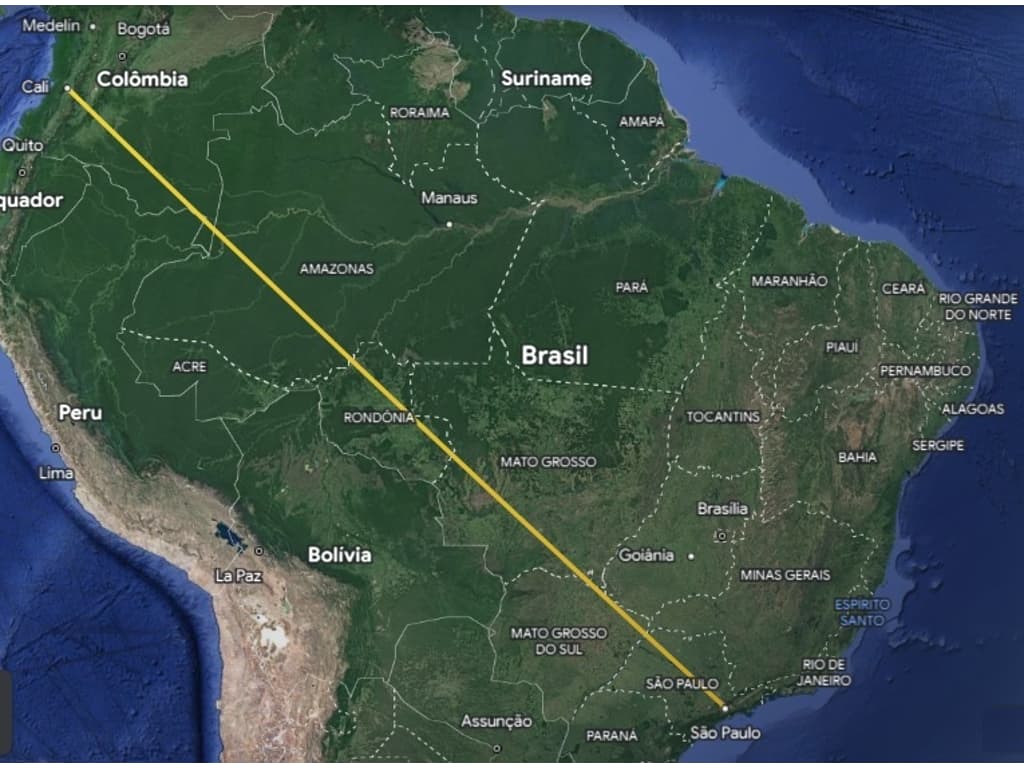 Após problema em avião de Leila, Palmeiras freta voo para voltar ao Brasil  - Jogo24