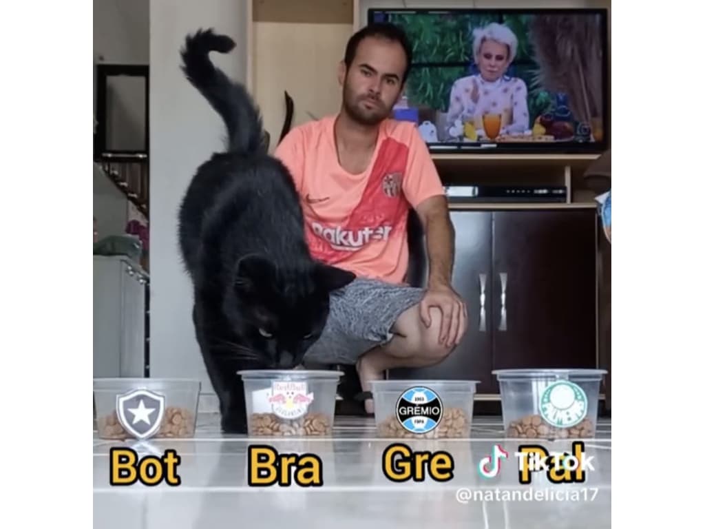 Gato acumula seguidores no Instagram por ter 'olhar do Gato de Botas