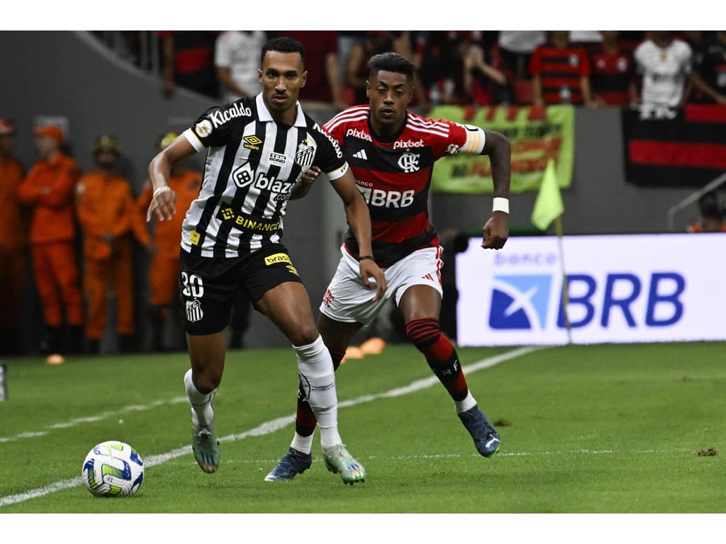 Flamengo e Santos são julgados e punidos pelo STJD por confusão em partida do Brasileirão