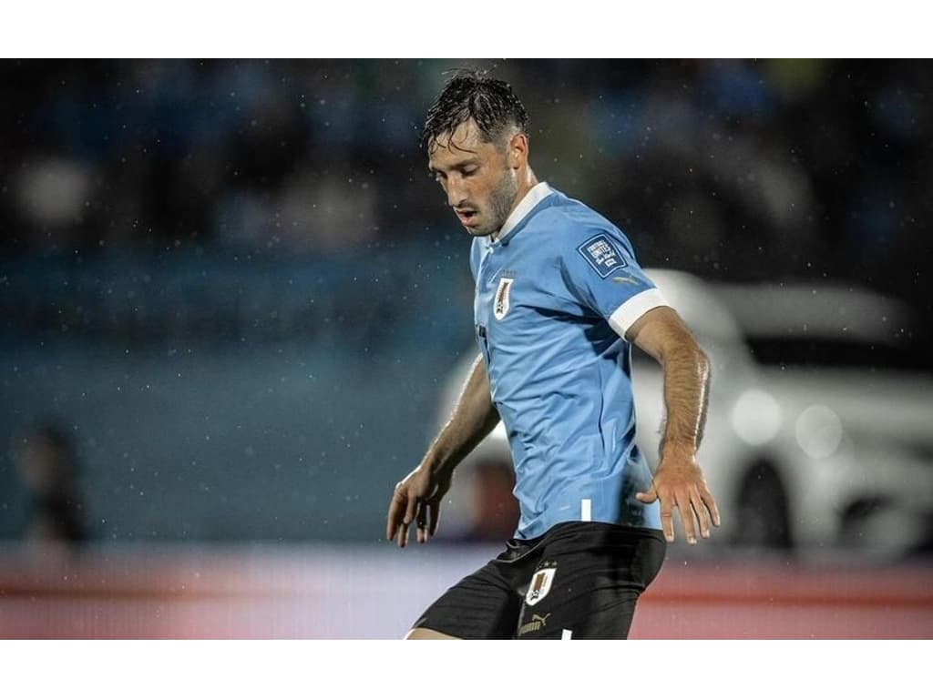 Torcedores do Palmeiras recuperam declaração de Viña após acerto com Flamengo; veja