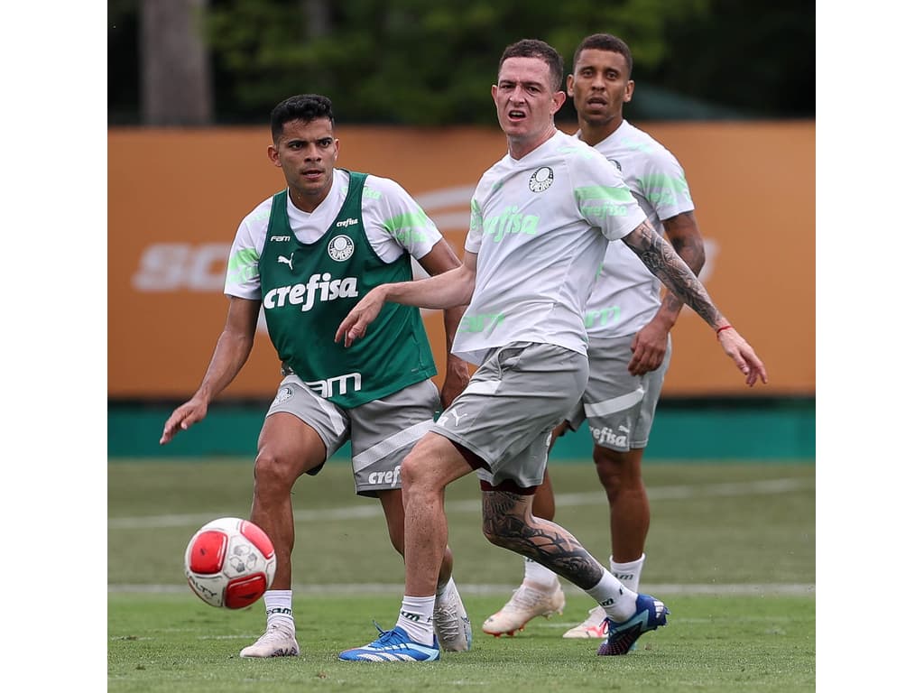 Palmeiras supera dor de cabeça por inscrição de reforços no Paulistão