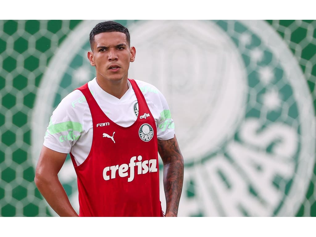 Zagueiro ressalta oportunidade única de crescimento no elenco atual do Palmeiras.