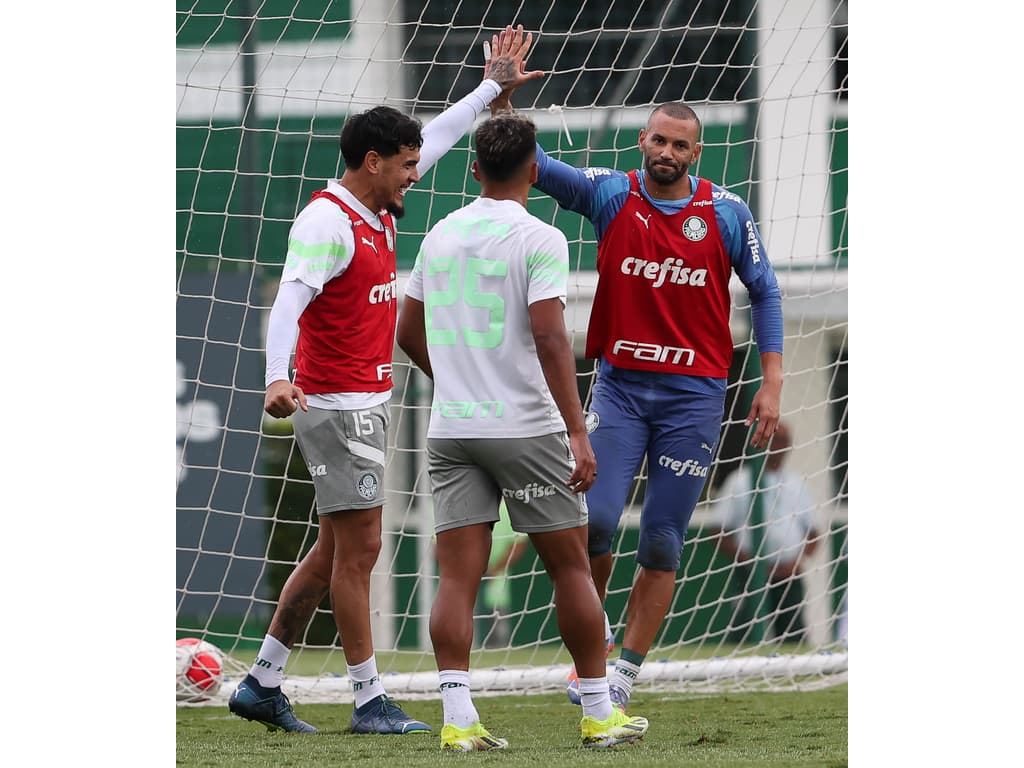Como Palmeiras gerencia situação delicada com Weverton - Profissionais mantêm postura firme.