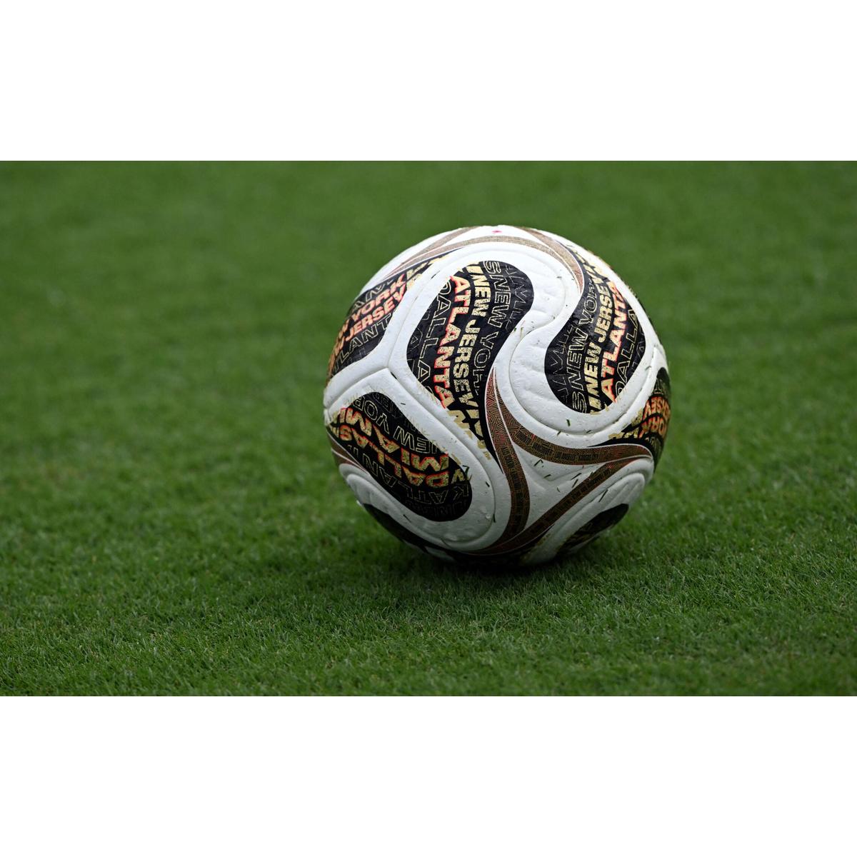Fifa vai vender pedaços do gramado da final da Copa; veja preço e