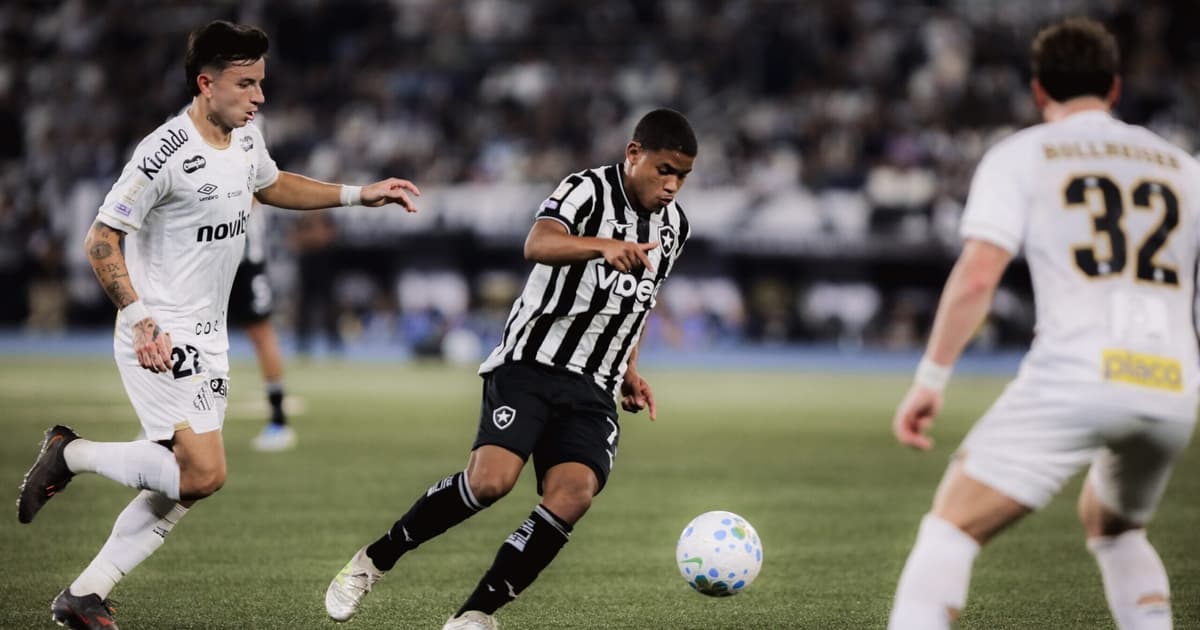Dê suas notas: Botafogo marca no fim e vence o Santos no Brasileirão