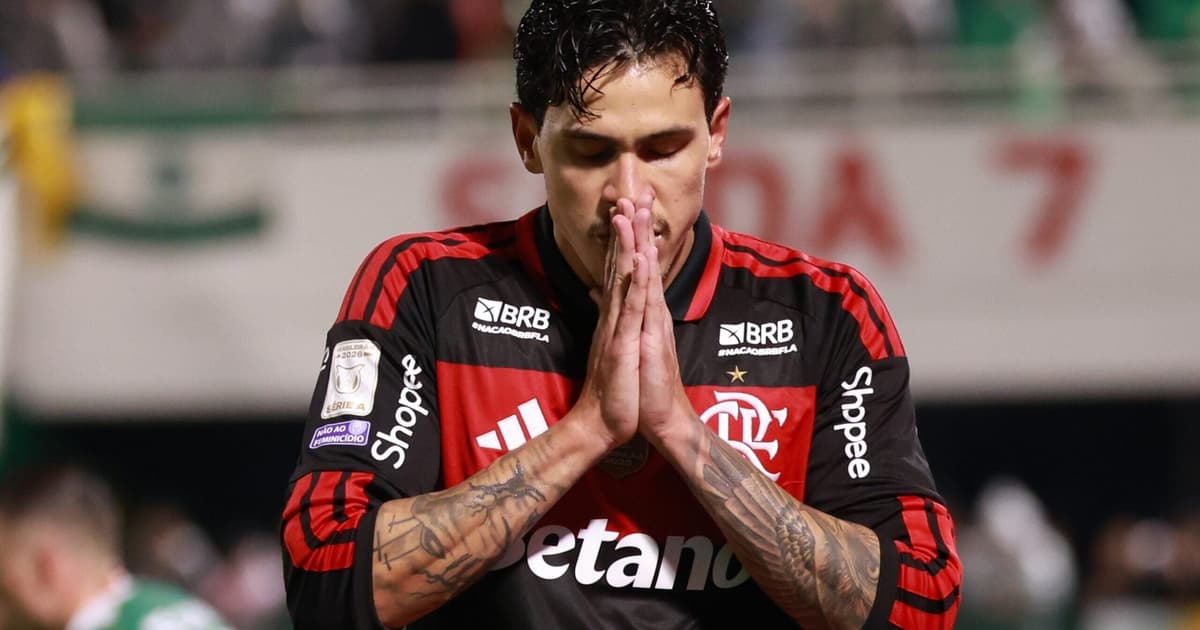 Pedro Brilha e Deixa Sua Marca: Gols do Atacante pelo Flamengo no Brasileirão 2026