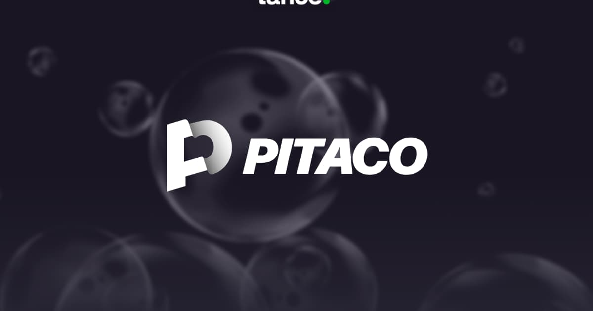 Rei do Pitaco 2026: análise completa do site e como apostar