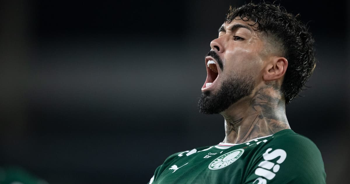 Barboza causa polêmica em Botafogo x Palmeiras com expulsão surpreendente