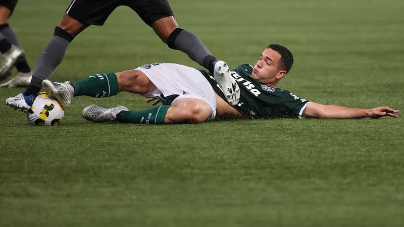 Palmeiras deve aproveitar quatro destaques da base no time profissional -  Lance!