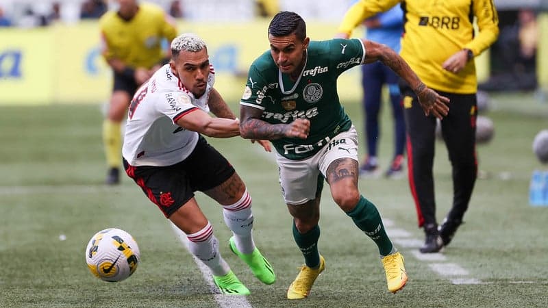 Dudu - Palmeiras x Flamengo