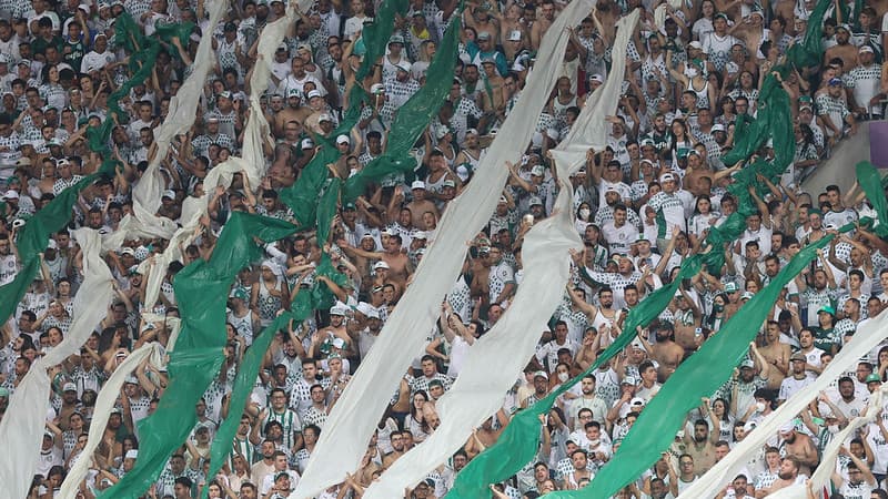 Palmeiras lança fan token e vai distribuir criptoativo a sócios-torcedores