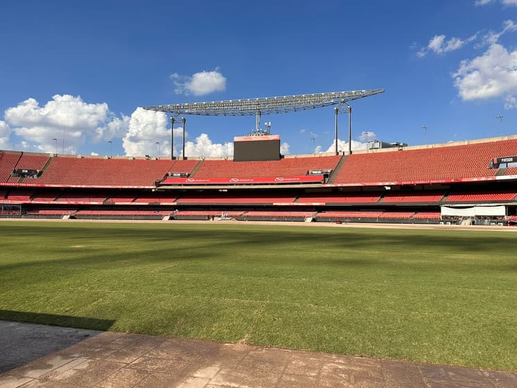 Novo gramado do Morumbi sobrevive à maratona de São Paulo e Palmeiras