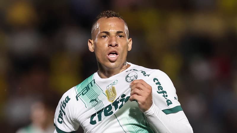 Artilheiro, garçom, quem mais jogou… Confira um balanço do elenco do  Palmeiras em 2023 - ISTOÉ Independente