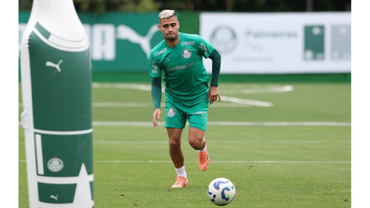 Palmeiras se Recupera Após Derrota e Foca no Próximo Desafio: Vitória!