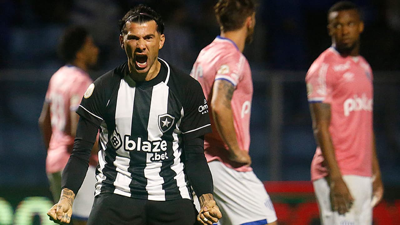 Botafogo vence o Avaí de virada e segue vivo na briga por uma vaga na ...