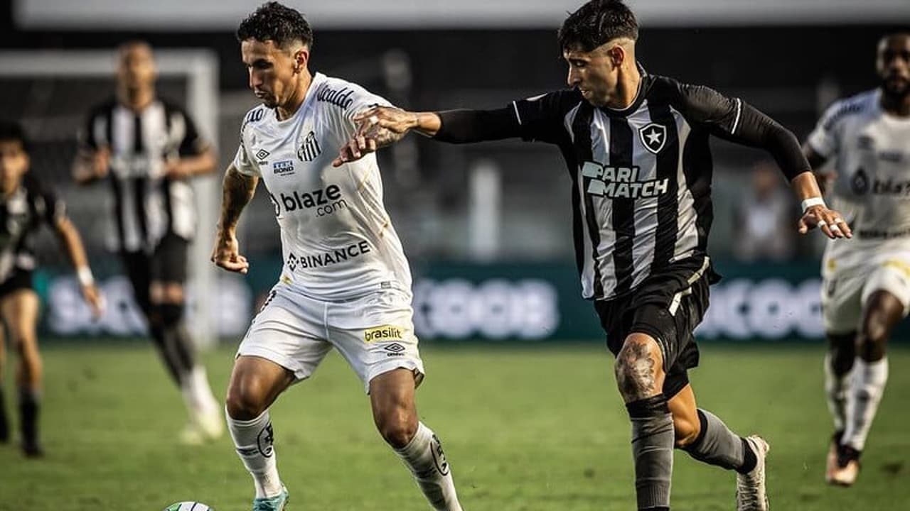 Botafogo x Santos: estatísticas e informações do jogo pela 35ª rodada ...