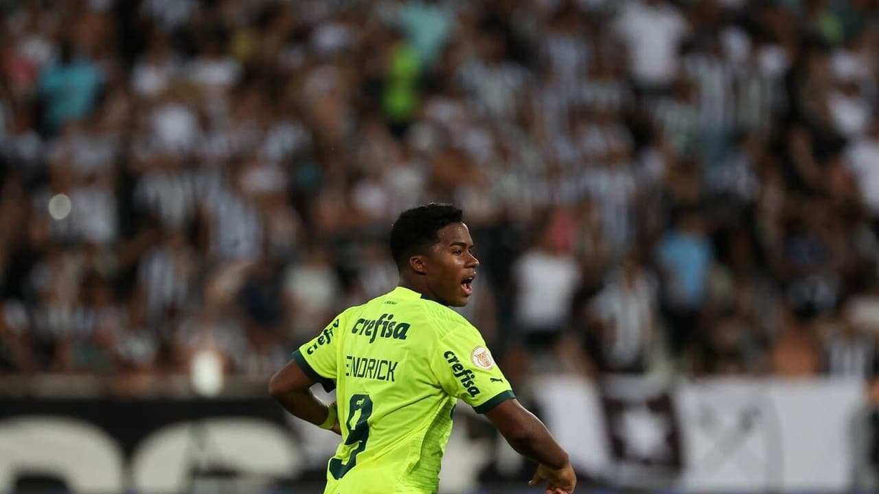 VÍDEO: Assista aos melhores momentos de Botafogo 3 x 4 Palmeiras - Lance!