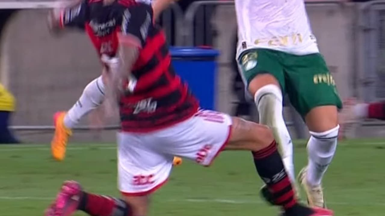 Indignação de torcedores em Flamengo x Palmeiras: Polêmica envolvendo o VAR persiste.