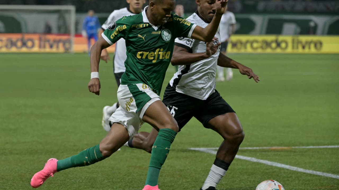 Torcedores criticam postura do Palmeiras sem Estêvão em partida contra o Botafogo