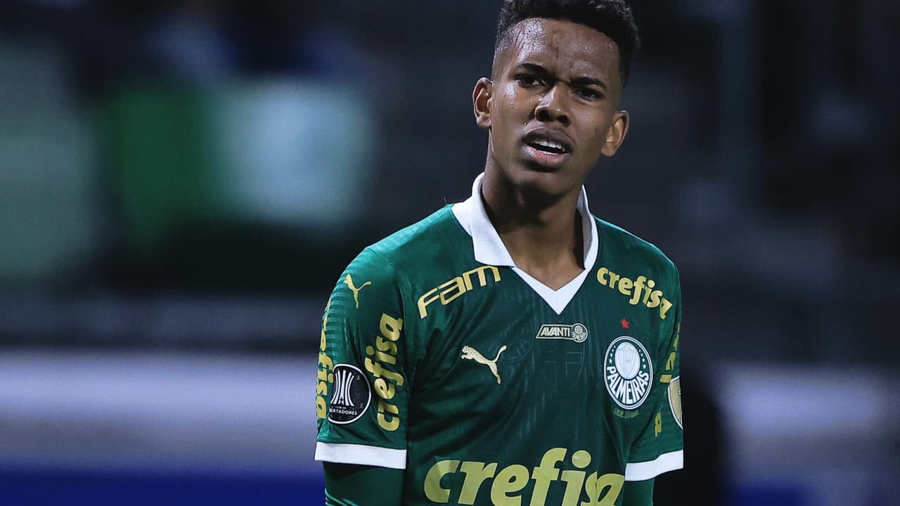 Pênalti não marcado em Estêvão no jogo entre Botafogo e Palmeiras