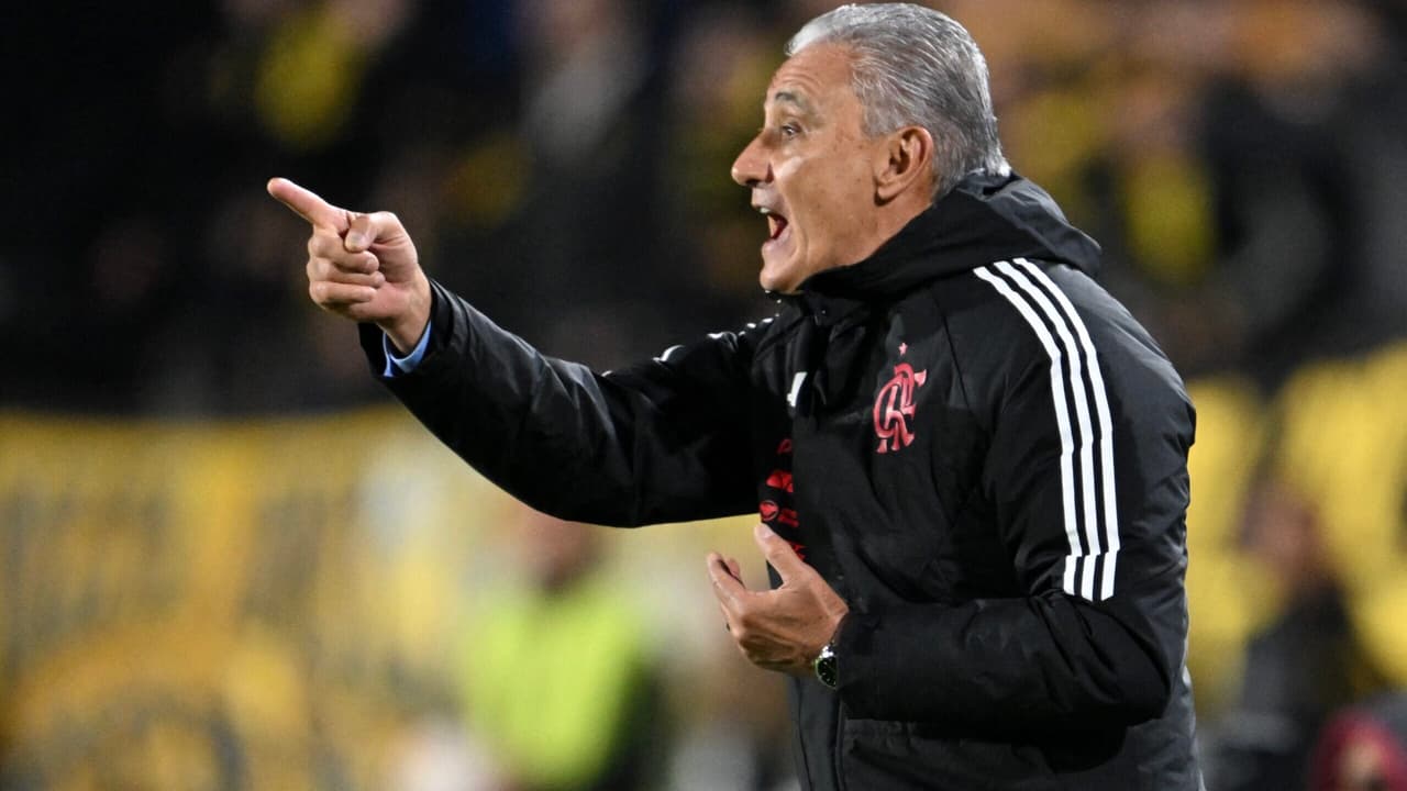 Jornalista questiona Tite sobre promessa após eliminação do Flamengo: Não sou futurista