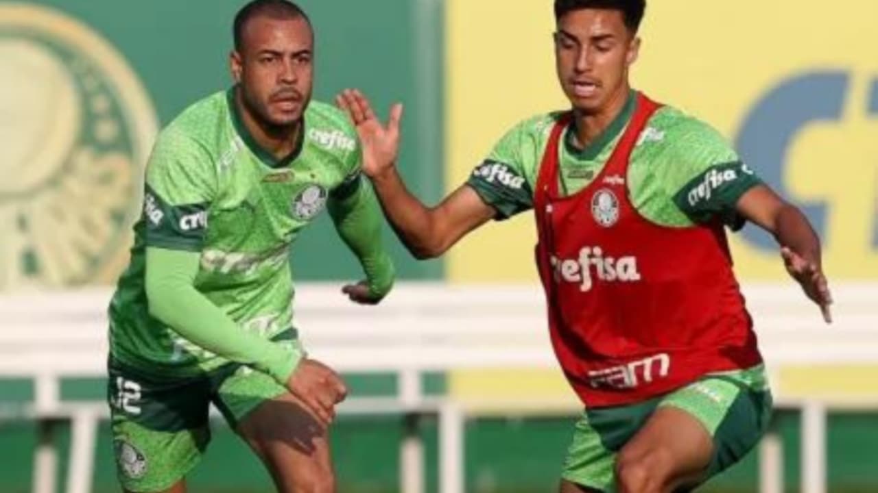 REFORÇO! Palmeiras recebe volta de zagueiro e vem com força total para duelo contra o Cricíuma