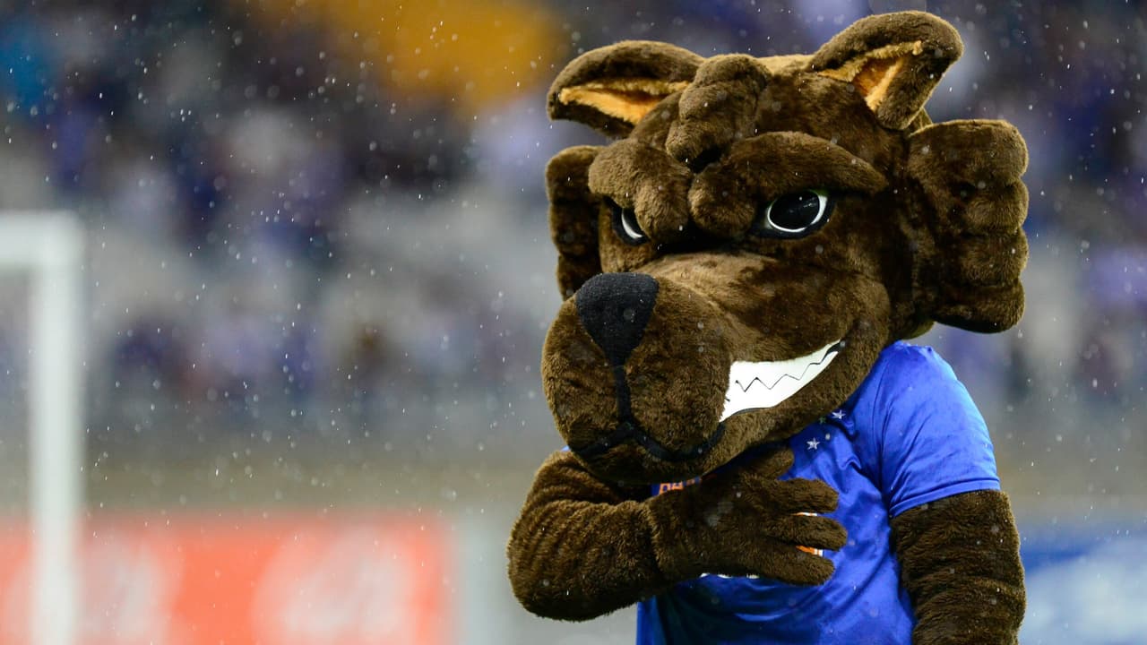 Mascote do Cruzeiro: Versões e História do Símbolo Celeste