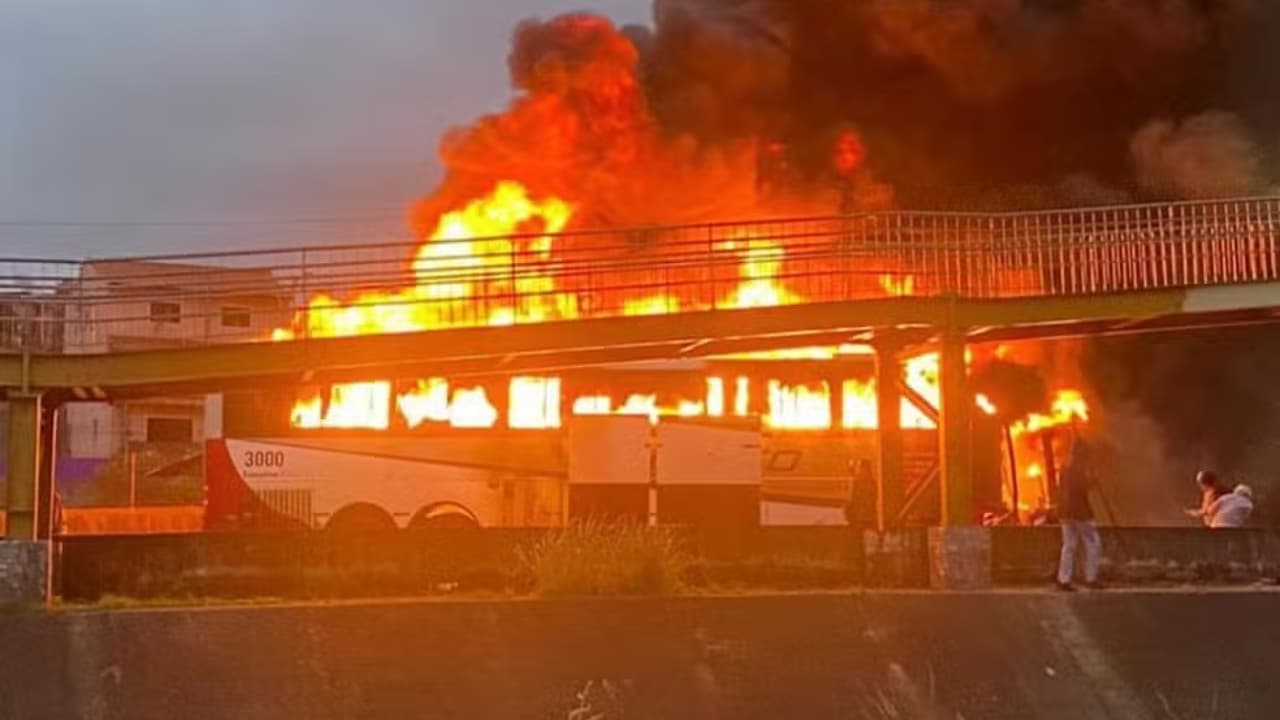 OPERAÇÃO MANCHA: Polícia busca prender membros de torcida do Palmeiras durante operação na Mancha