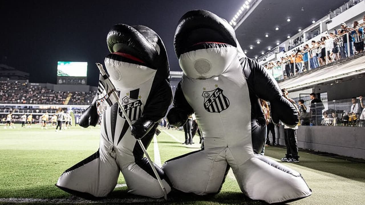 Conselho Deliberativo do Santos se reúne nesta quinta-feira em sessão extraordinária