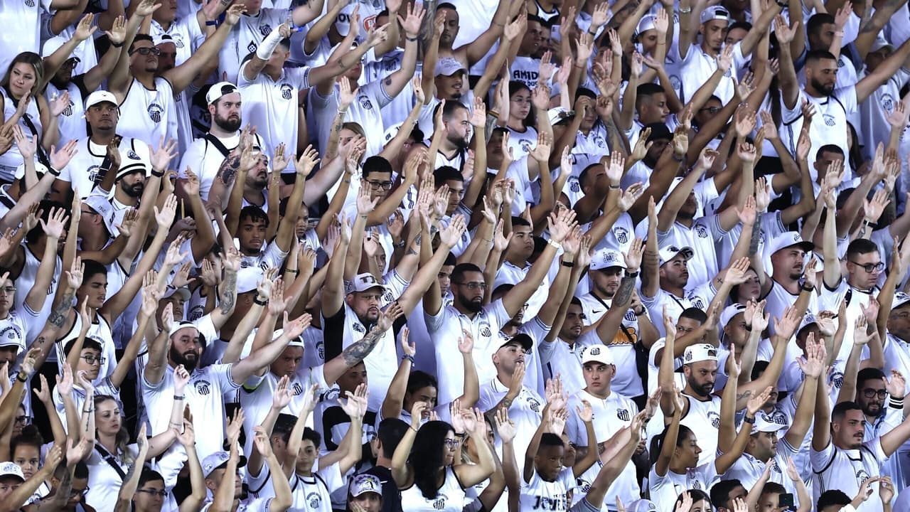 Santos inicia a venda de ingressos para o duelo contra o Botafogo
