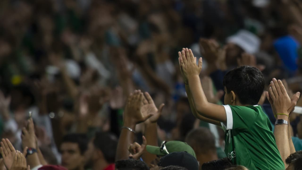 Palmeiras oferece ingresso popular no Allianz Stadium após sucesso em Barueri