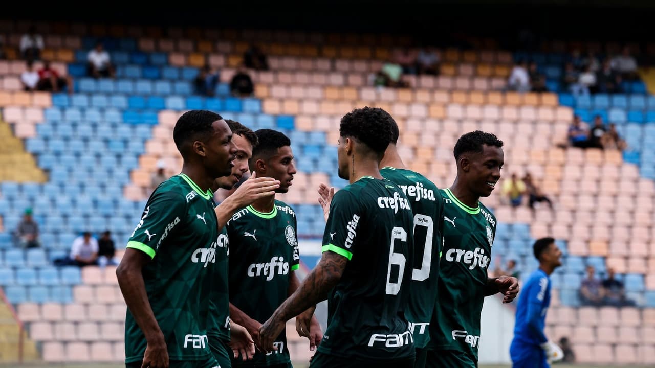 Ex-jogador do Palmeiras recebe oferta milionária que pode render lucro ao clube.