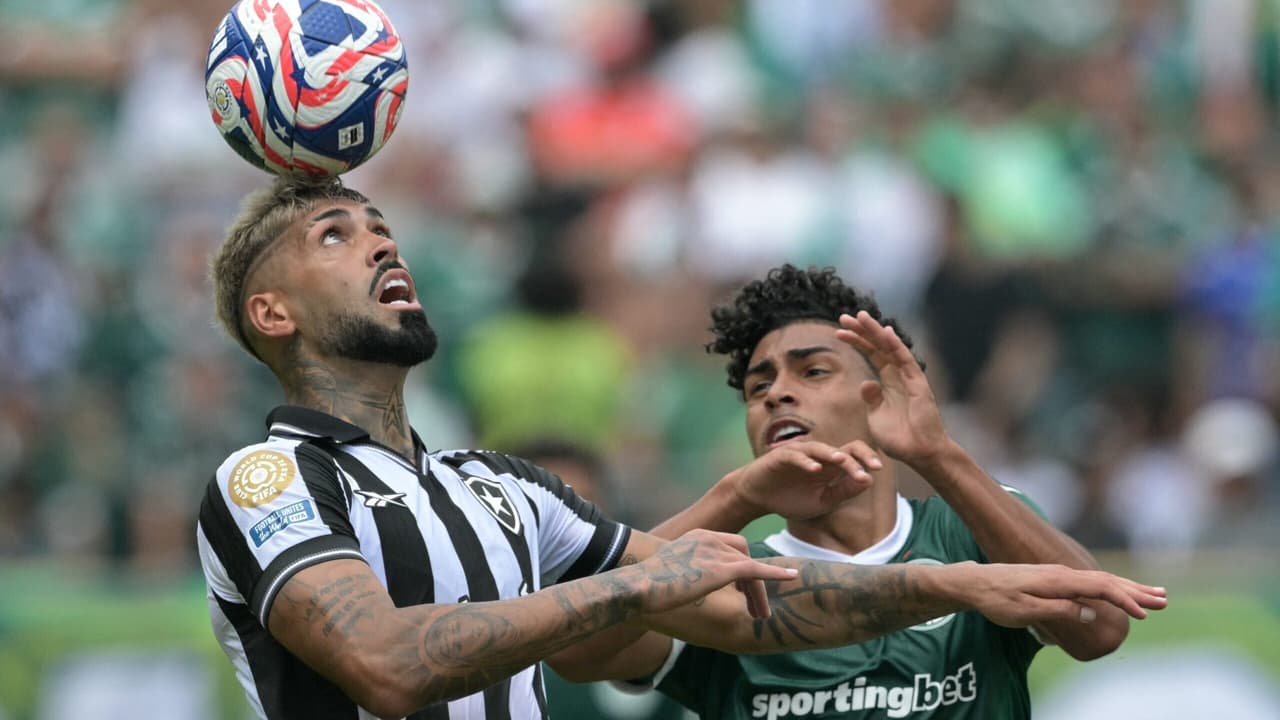 Botafogo x Palmeiras: Retrospecto e Estatísticas no Brasileirão