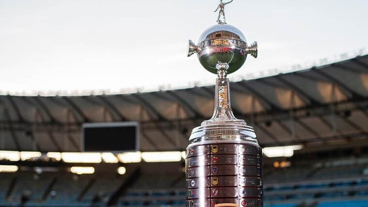 Prognóstico: Botafogo, LDU, Universitário e Palmeiras na Libertadores.