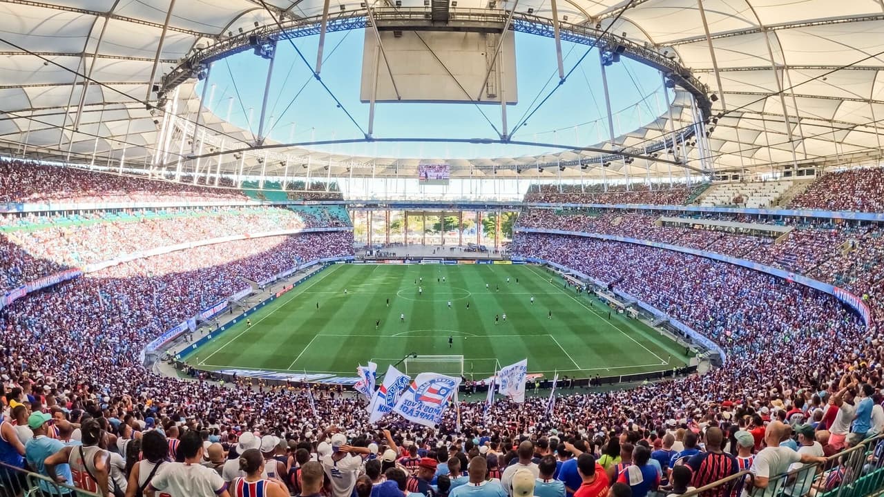 Ingressos para Bahia e Palmeiras: preços e pontos de venda disponíveis