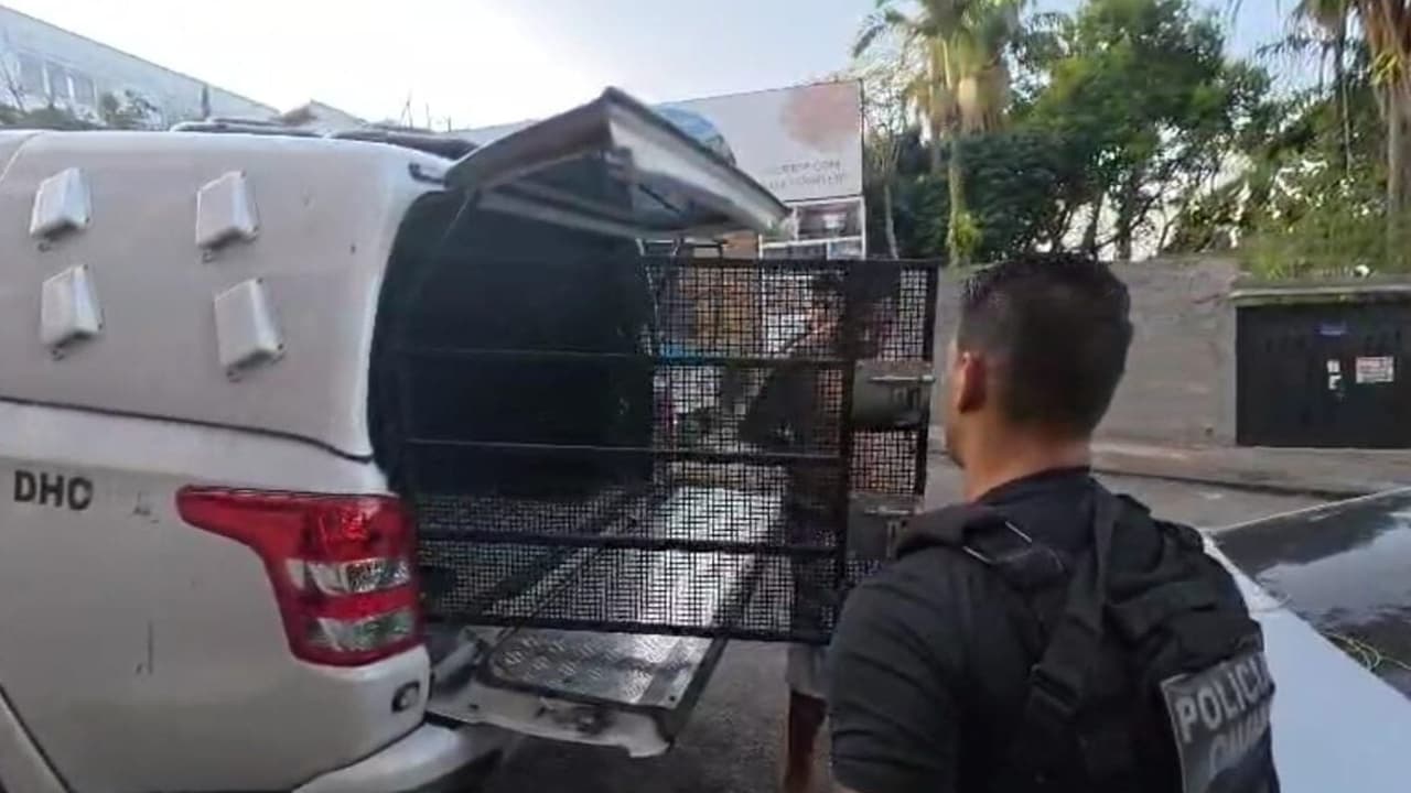 Polícia Civil detém oito torcedores do Flamengo envolvidos em morte de vascaíno