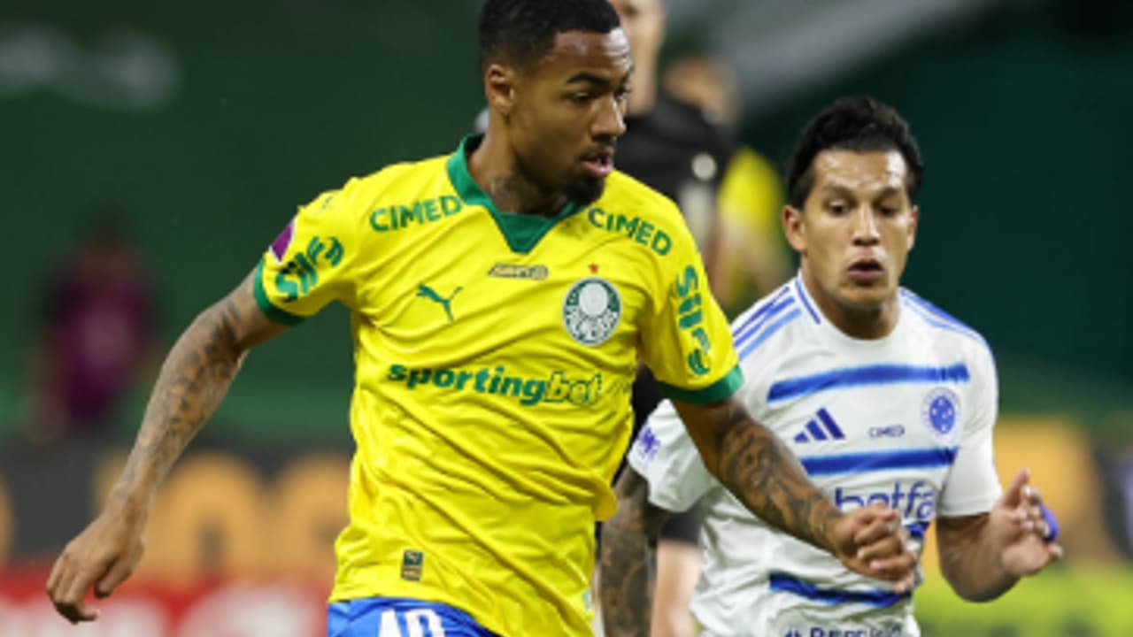 Allan convoca torcida do Palmeiras para 